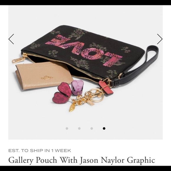 NWT Coach Jason Naylor Graphic Pouch - Picture 4 of 5